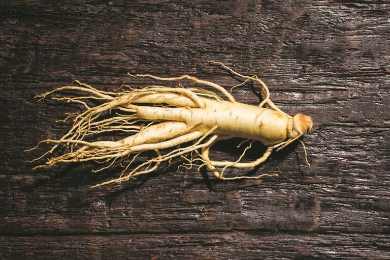 Ginseng root which stimulates blood flow to the male genitals