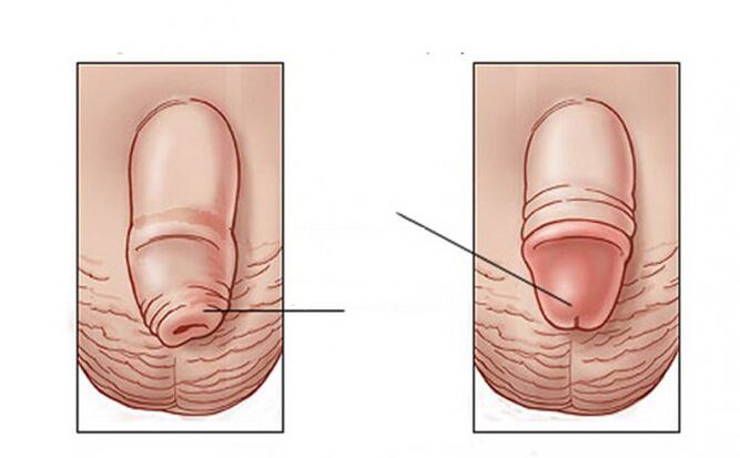 What task the lubricant accomplishes