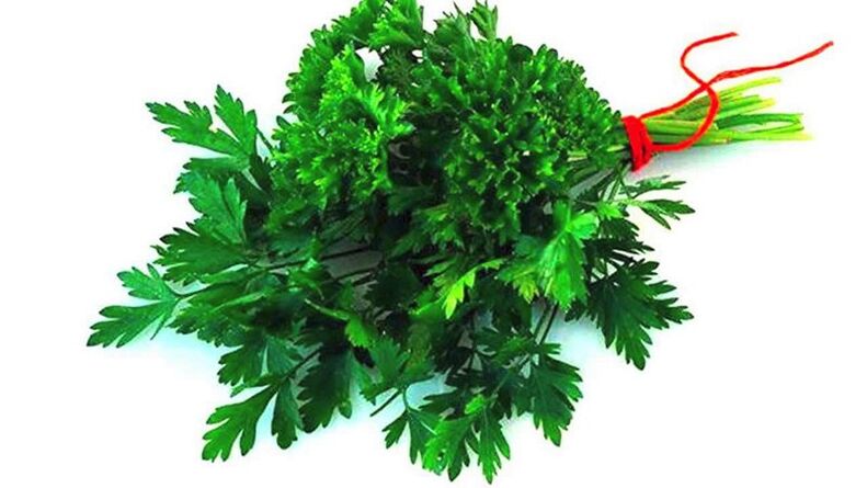 Parsley to increase the power of men